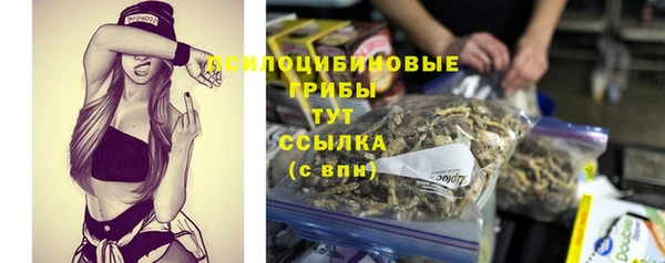 ALPHA-PVP Алексин