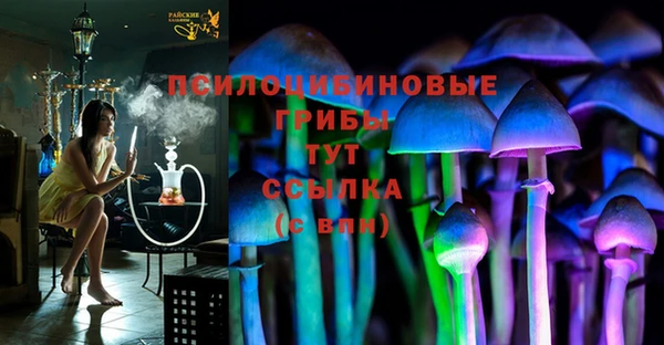 Альфа ПВП Алзамай