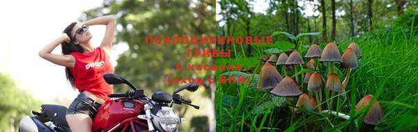 ALPHA-PVP Алексин